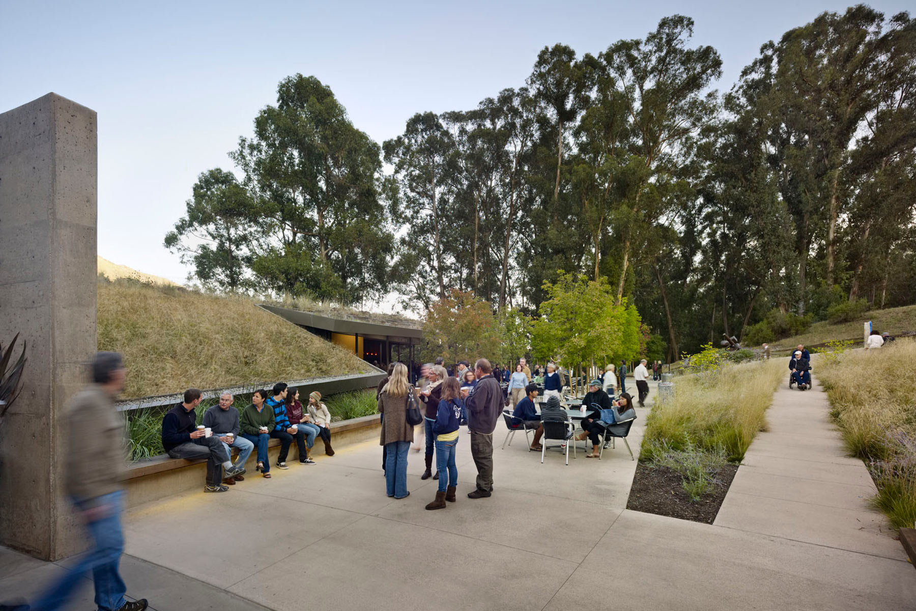 The Sharon Simpson Center at the California Shakespeare Theater, located in the San Francisco Bay Area, encourages environmental stewardship and sustainable goals by utilizing a living roof and being integrated into the natural landscape of the site.