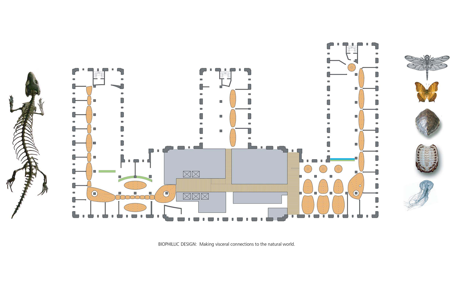 The highly sustainable, LEED Platinum-rated ClimateWorks Foundation office space weaves together advanced energy-efficiency and carbon reduction within inviting spaces that connect staff and visitors to each other and the natural world.